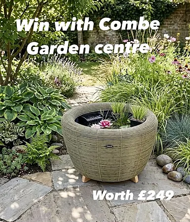 Win a Water Garden Bowl with Pump