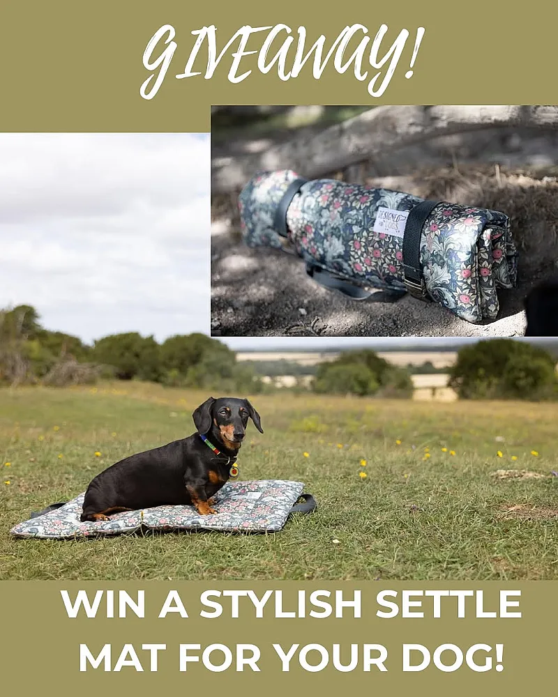 Win a Stylish Settle Mat for Your Dog