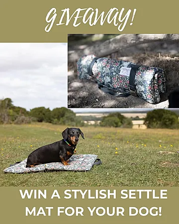 Prize image for Win a Stylish Settle Mat for Your Dog