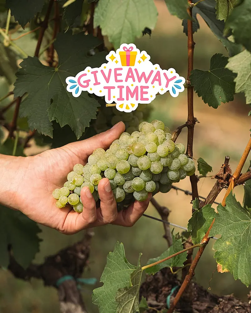 Win 3 Bottles of Monsoon Valley Wine