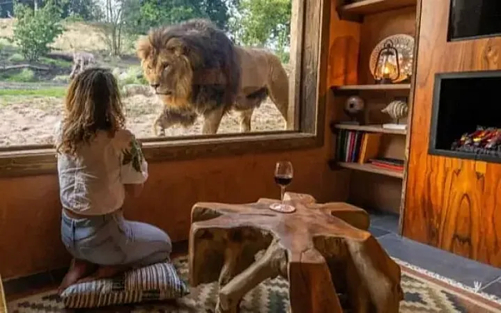 Prize image for Win a Two-Night Wild Keeper Retreat Stay at Safari Lodges