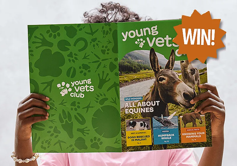 Win a 3 Year Membership to the Young Vets Club!