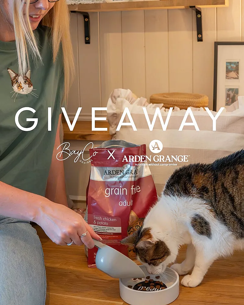 Win an Ardent Grange Cat Bundle
