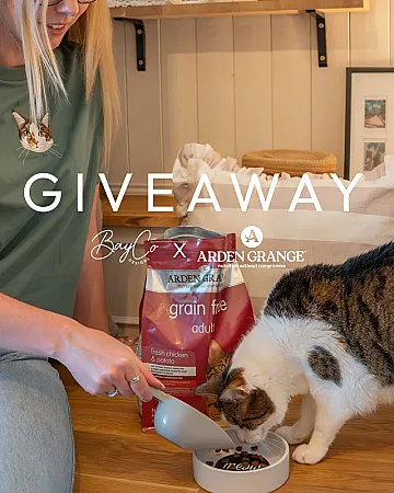 Prize image for Win an Ardent Grange Cat Bundle
