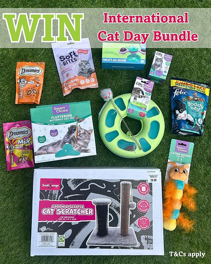 Win a Bundle of Cat Goodies for Your Furry Friend