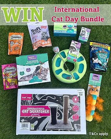 Win a Bundle of Cat Goodies for Your Furry Friend