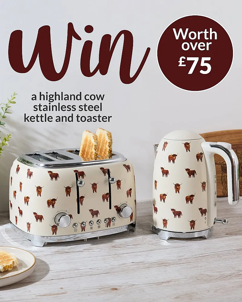 Win Highland Cow Kettle & 4 Slice Toaster!
