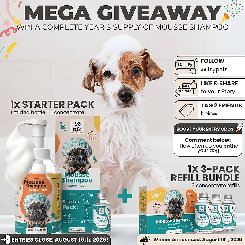 Win a Pet Mousse Shampoo