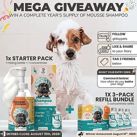 Prize image for Win a Pet Mousse Shampoo