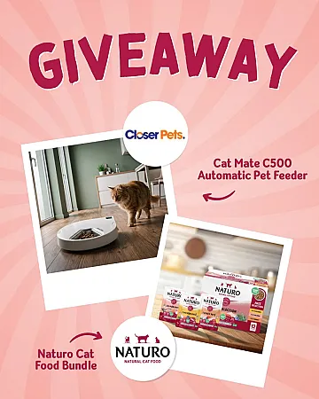 Prize image for Win £50 Naturo Cat Food Bundle & a Cat Mate C500 Five-Meal Automatic Pet Feeder
