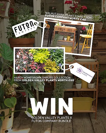 Prize image for Win a Hardy Homegrown Shrubs Collection & Plant Stand