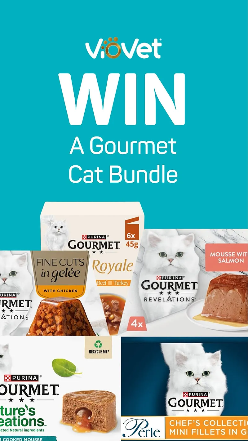 Win a Purina Gourmet Bundle