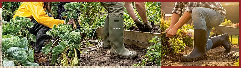 Win a Pair of Dunlop Wellies