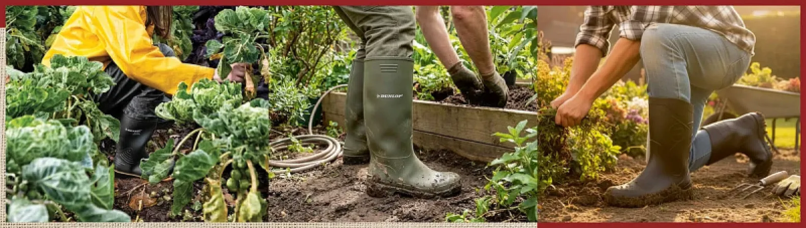 Prize image for Win a Pair of Dunlop Wellies