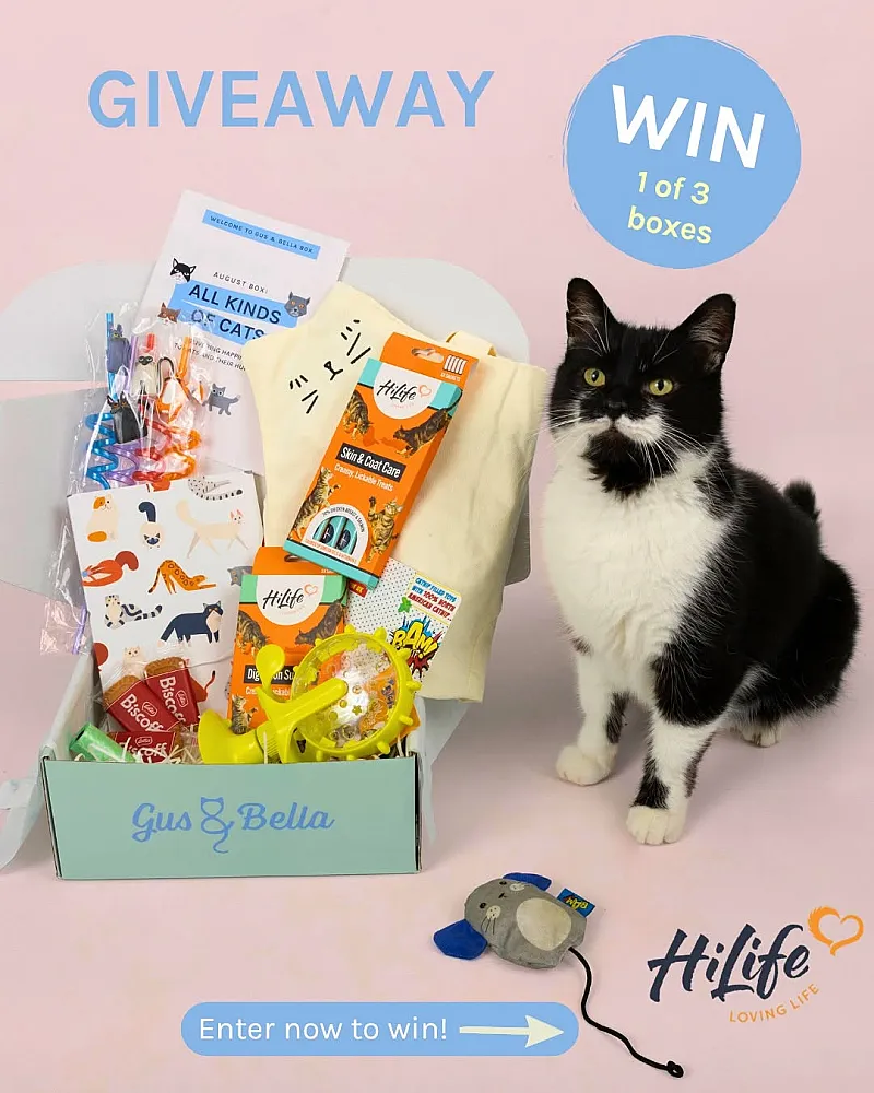 Win a Cats Themed Gus & Bella Box or a Treat Bundle from HiLife