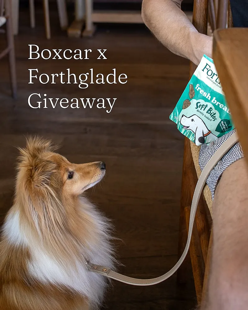 Win £150 of Forthglade Dog Food & £100 Boxcar Voucher