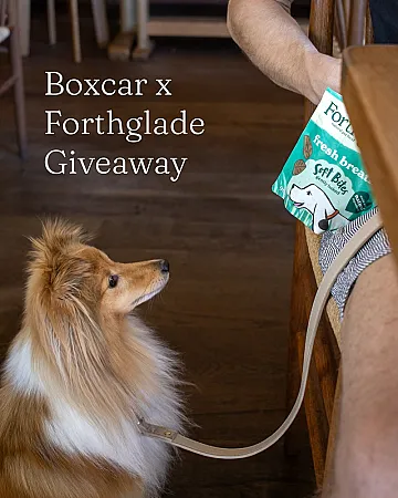Win £150 of Forthglade Dog Food & £100 Boxcar Voucher
