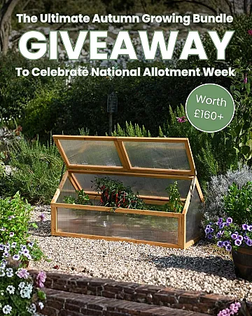 Prize image for Win The Ultimate Autumn Growing Bundle
