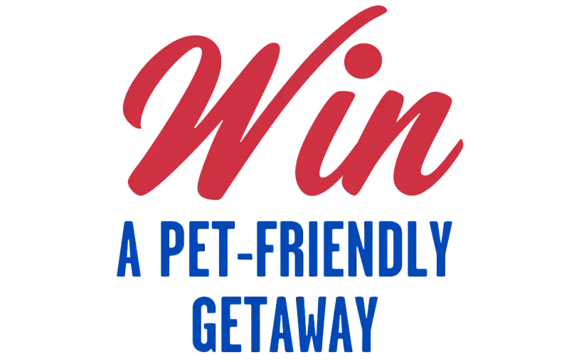 Win a Getaway With Your Pet