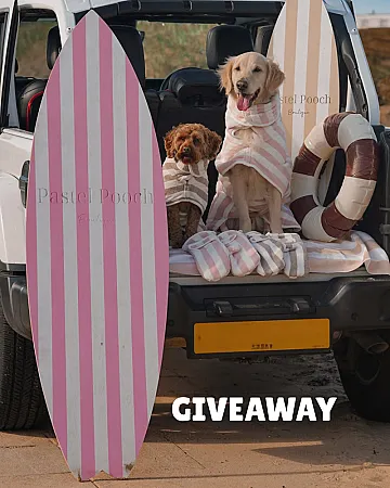Prize image for Win a Drying Robe & Mitts for Your Dog