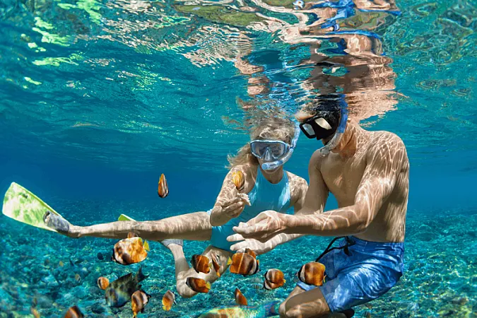 Prize image for Win £350 worth of Travel Experiences with Viator This Summer