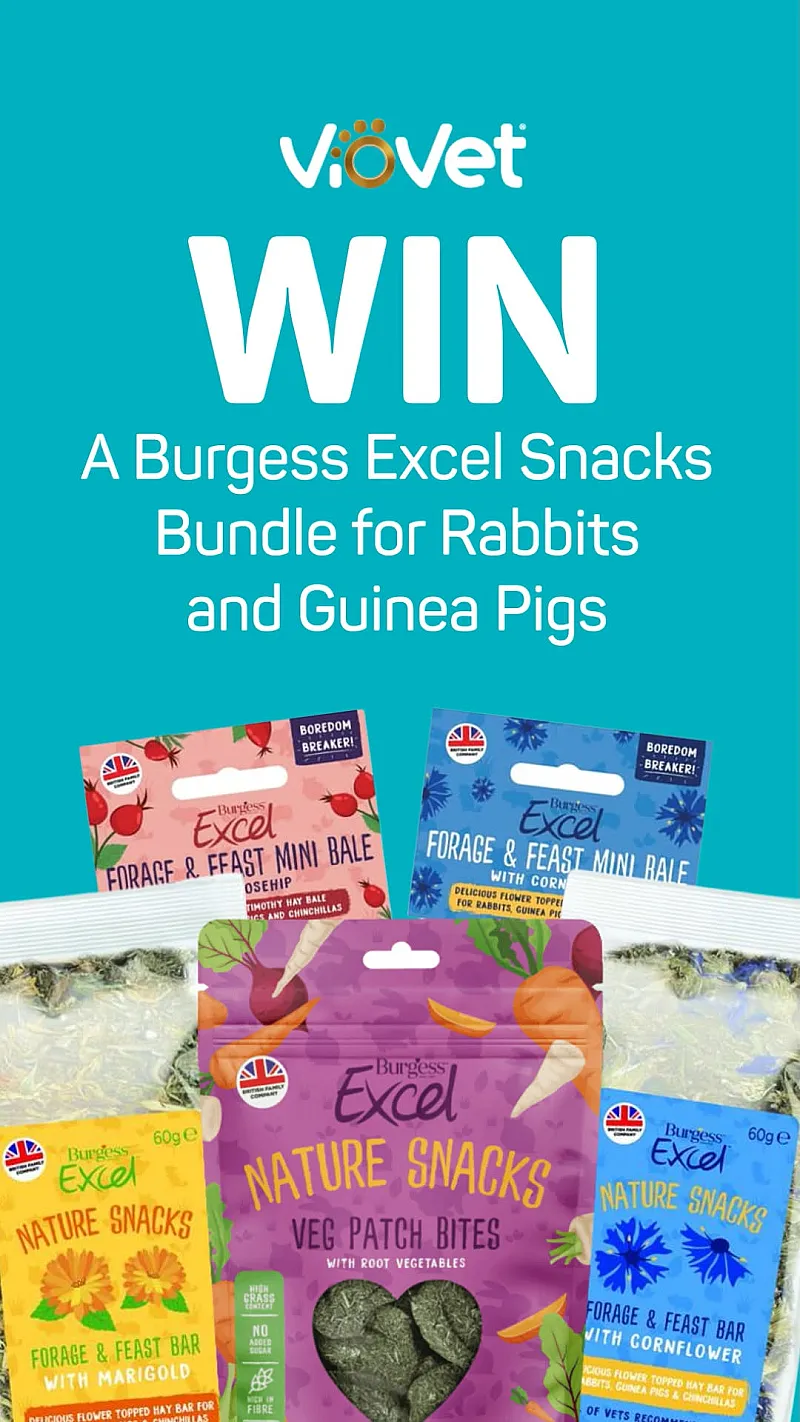 Win a Burgess Excel Snacks Bundle