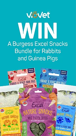 Win a Burgess Excel Snacks Bundle