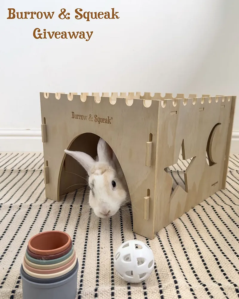 Win a Burrow & Squeak Hide and Snuffle Mat