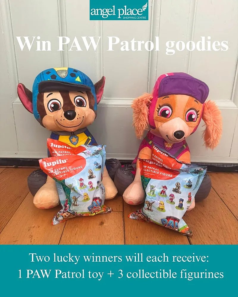 Win PAW Patrol Goodies