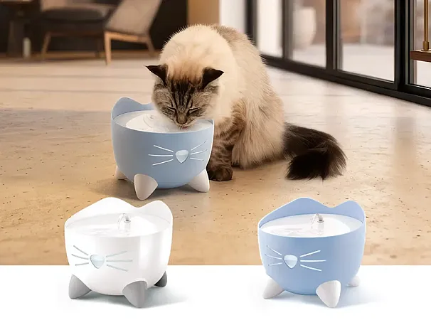 Win a cool Catit summer prize