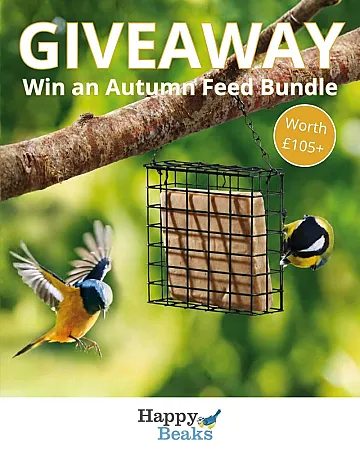 Prize image for Win An Autumn Feed Bundle