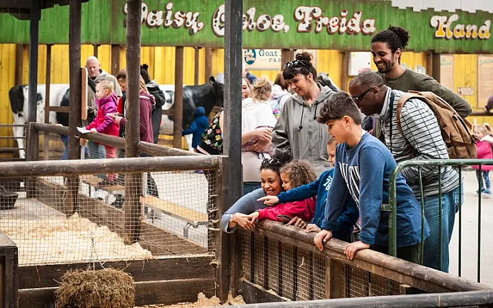 Prize image for Win a Family Day Ticket to Folly Farm!