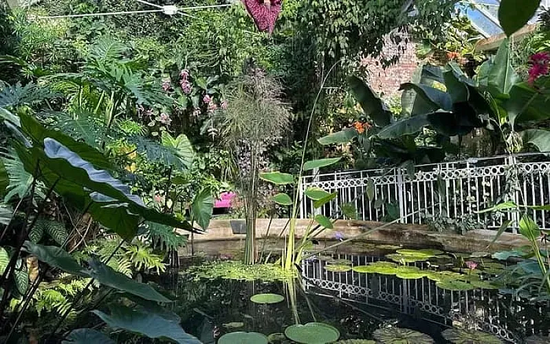 Win a Family Membership to Birmingham Botanical Gardens