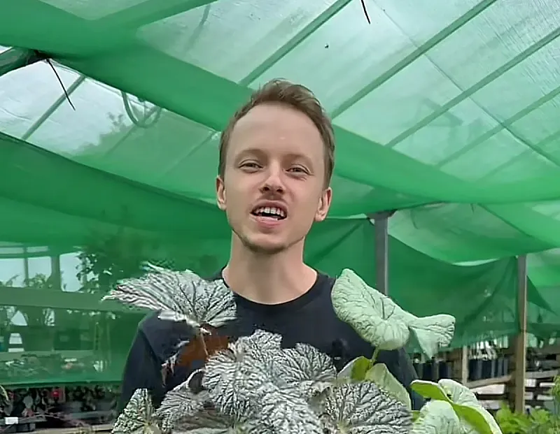 Win £100 to spend on plants