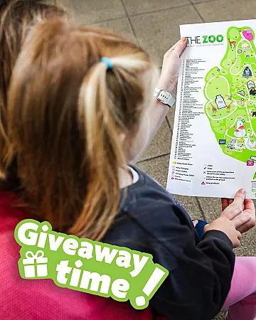 Prize image for Win a Family Day at Belfast Zoo