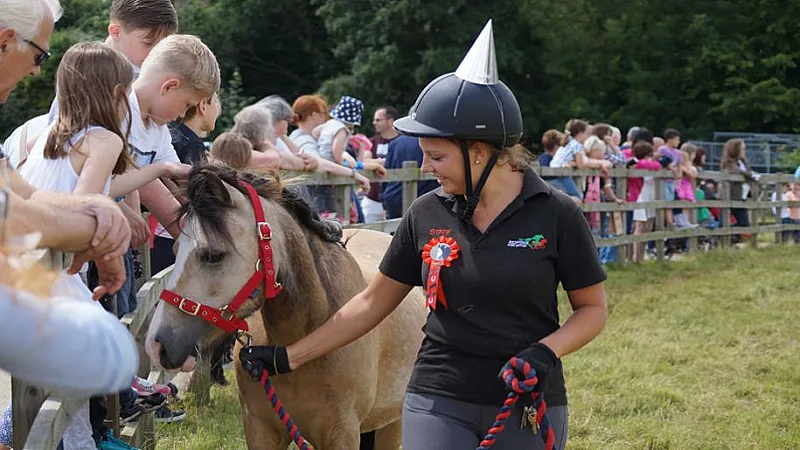 Prize image for Win a Year's Free Sponsorship of a Horse or Donkey