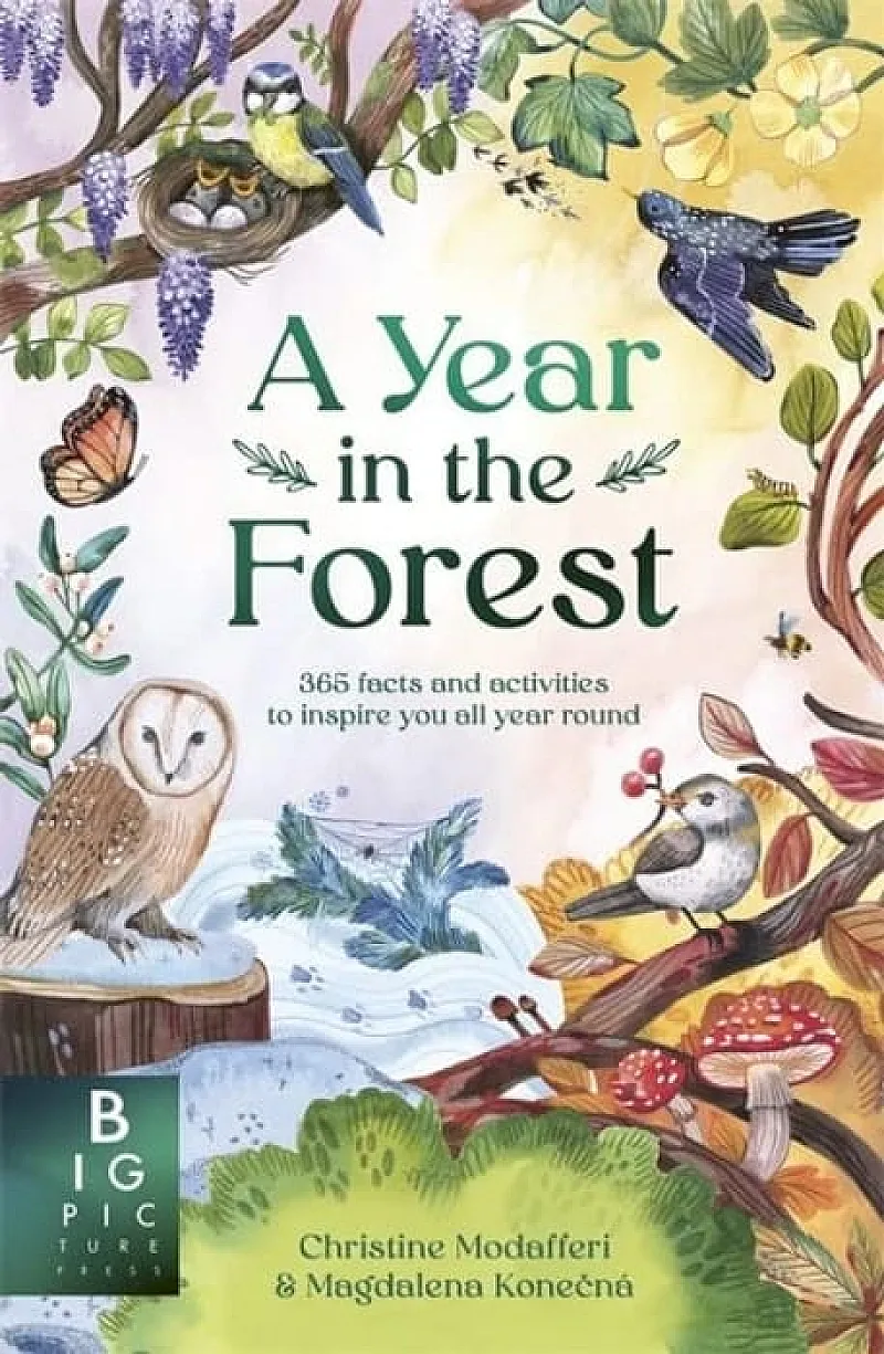 Win A Year in the Forest by Christine Modafferi, Magdalena Konecna