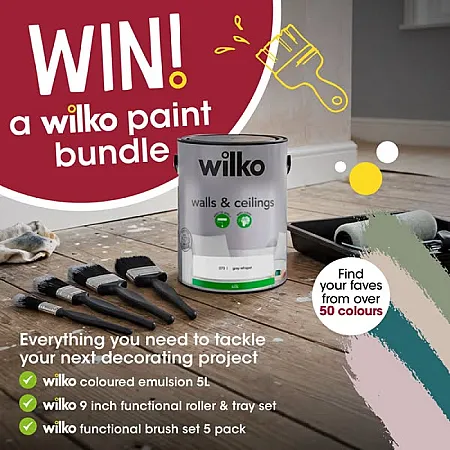 Prize image for Win a Wilko Paint Bundle worth £50!