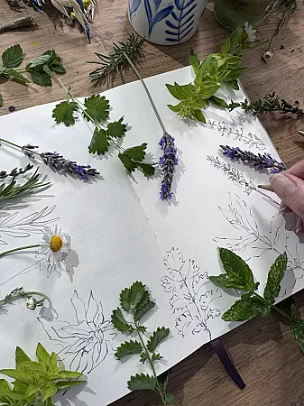 Win a Year's Membership to a Sketching Community