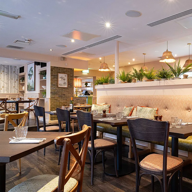 Win a £250 voucher to spend at Brasserie Blanc