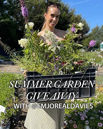 Prize image for Win Emma's summer plant picks