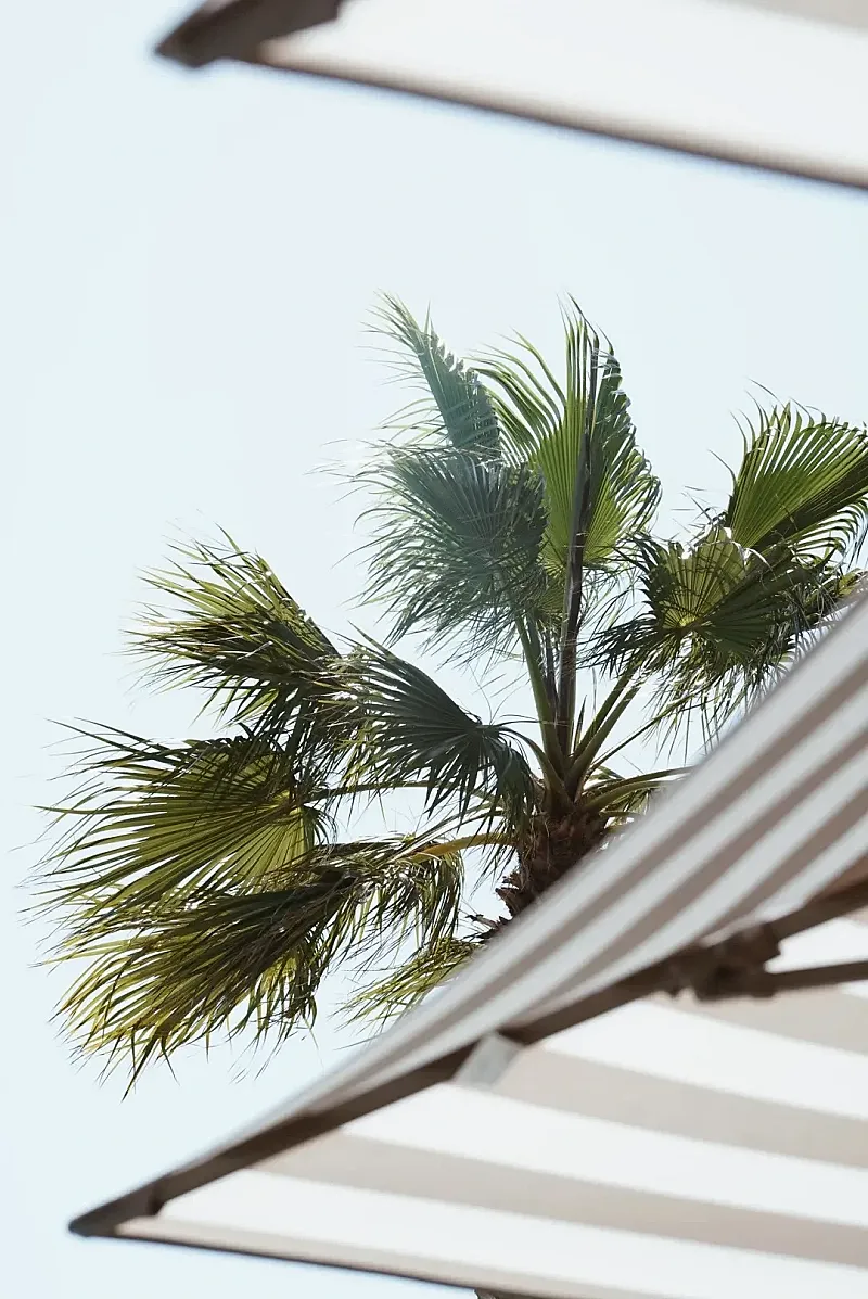 Win a Two-Night Stay with Dinner in the Algarve