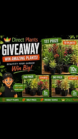 Prize image for Win mega shrub prizes