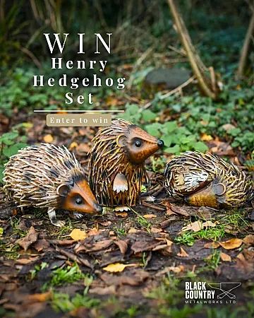 Prize image for Win a Henry Hedgehog Set