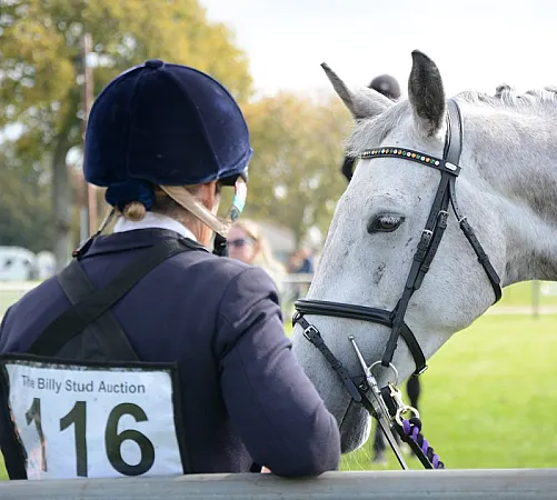 Win Tickets To The Autumn Show & Horse Trials