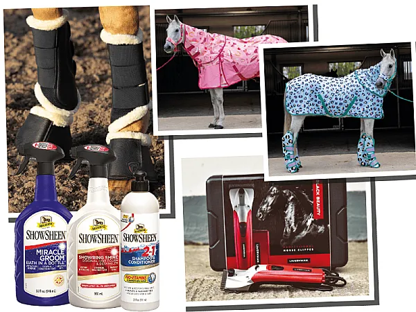 Win Fantastic Horse Riding Prizes