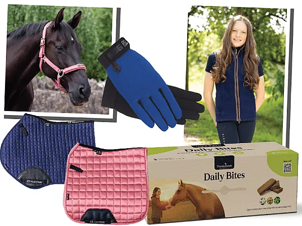 Prize image for Win Epic Pony Prizes