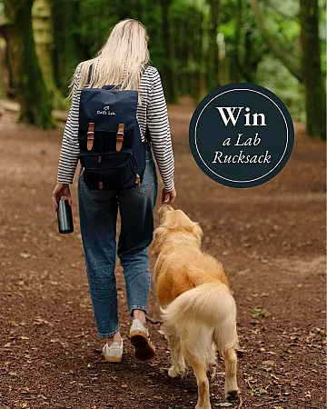 Prize image for Win a Lab Rucksack