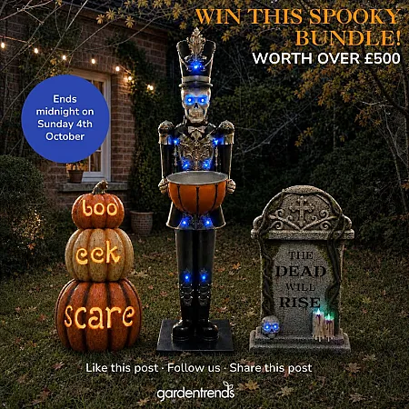 Prize image for Win a spooky Halloween bundle