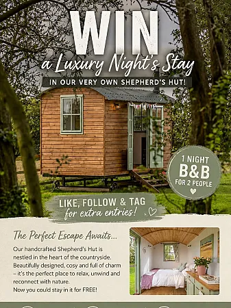 Prize image for Win a Night's B&B Stay in a Shepherd's Hut